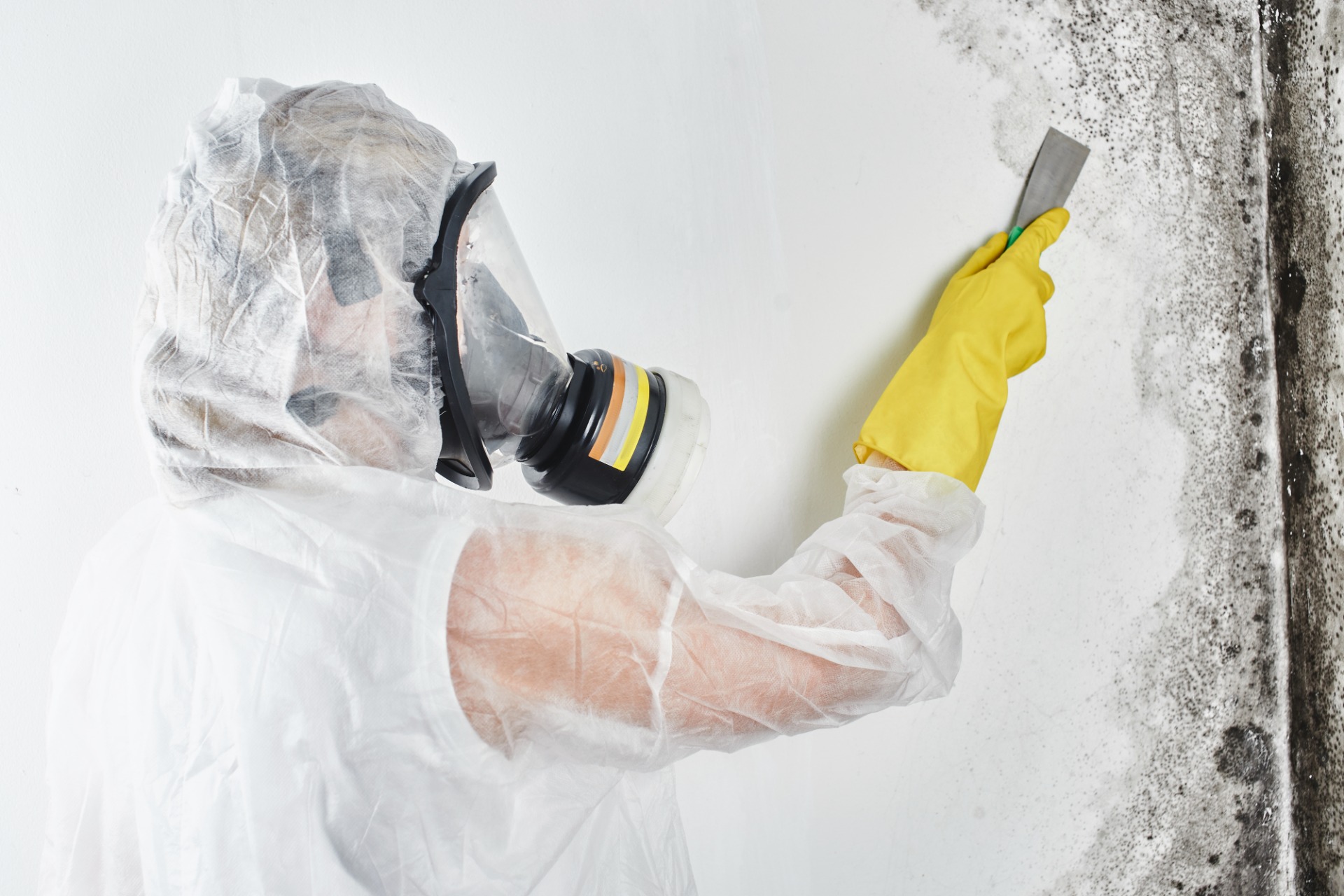 Open brief: geen schimmelwoningen in Geel!